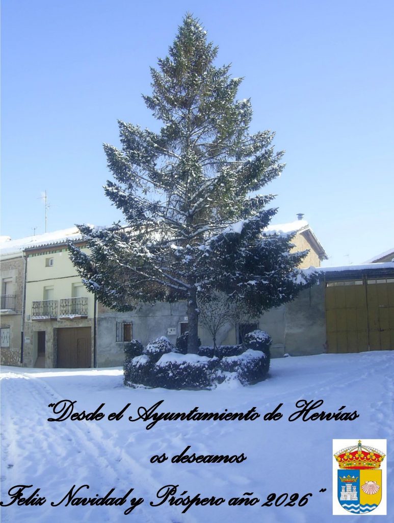 Felicitación Navidad 2025